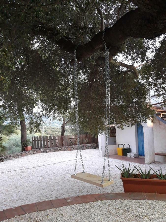 Apartamento Casa Toloi Dorgali Exterior foto